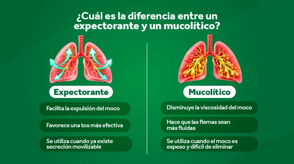 blog1 05 ¿cuál es la diferencia entre un expectorante y un mucolítico selectpharma 2026